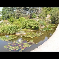 Lyon - Parc de la Tete d'Or (01)